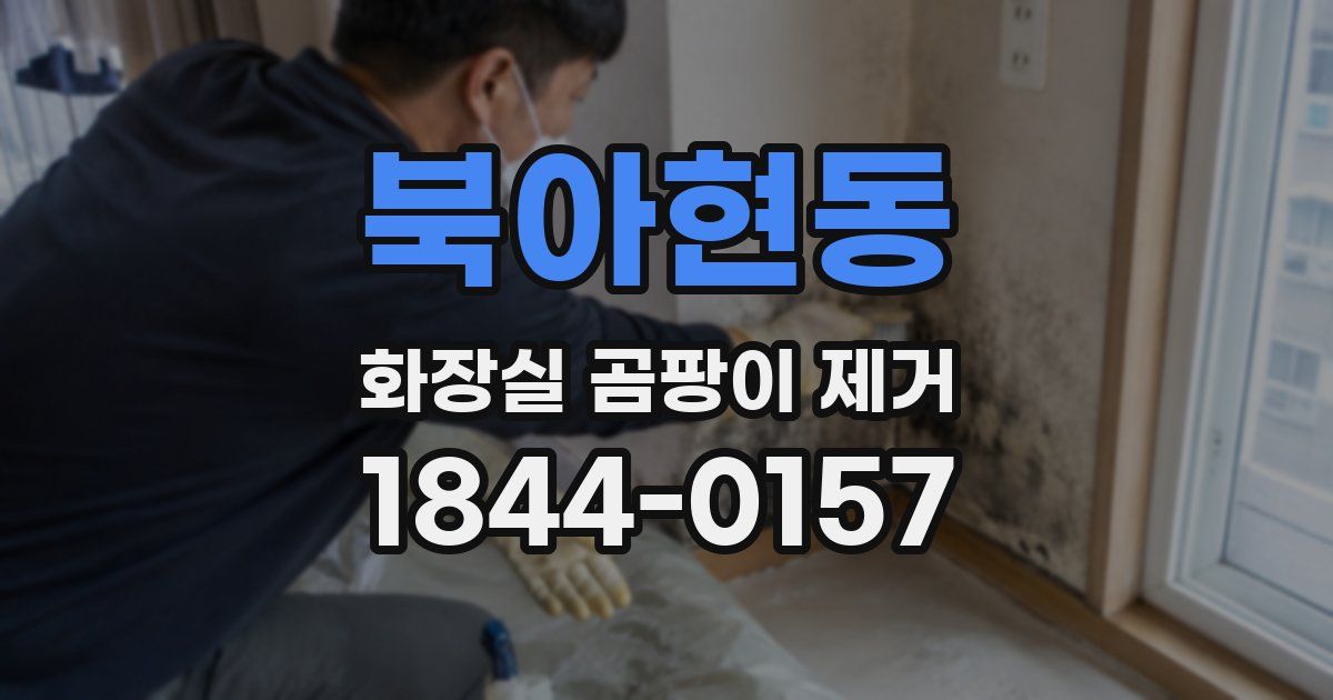 북아현동 화장실 곰팡이 제거
