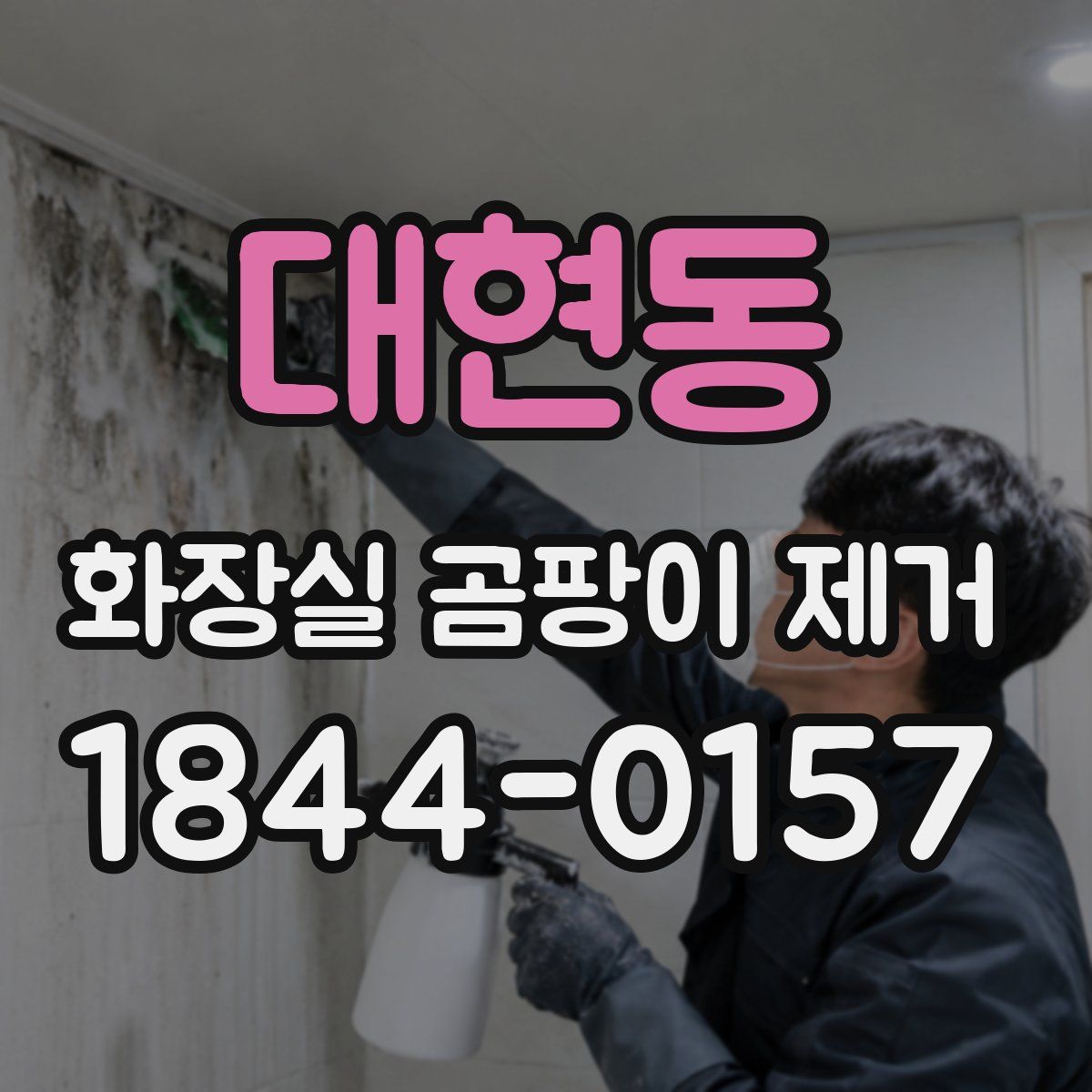 대현동 화장실 곰팡이 제거