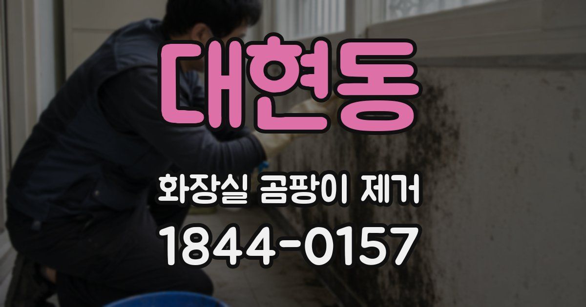 대현동 화장실 곰팡이 제거