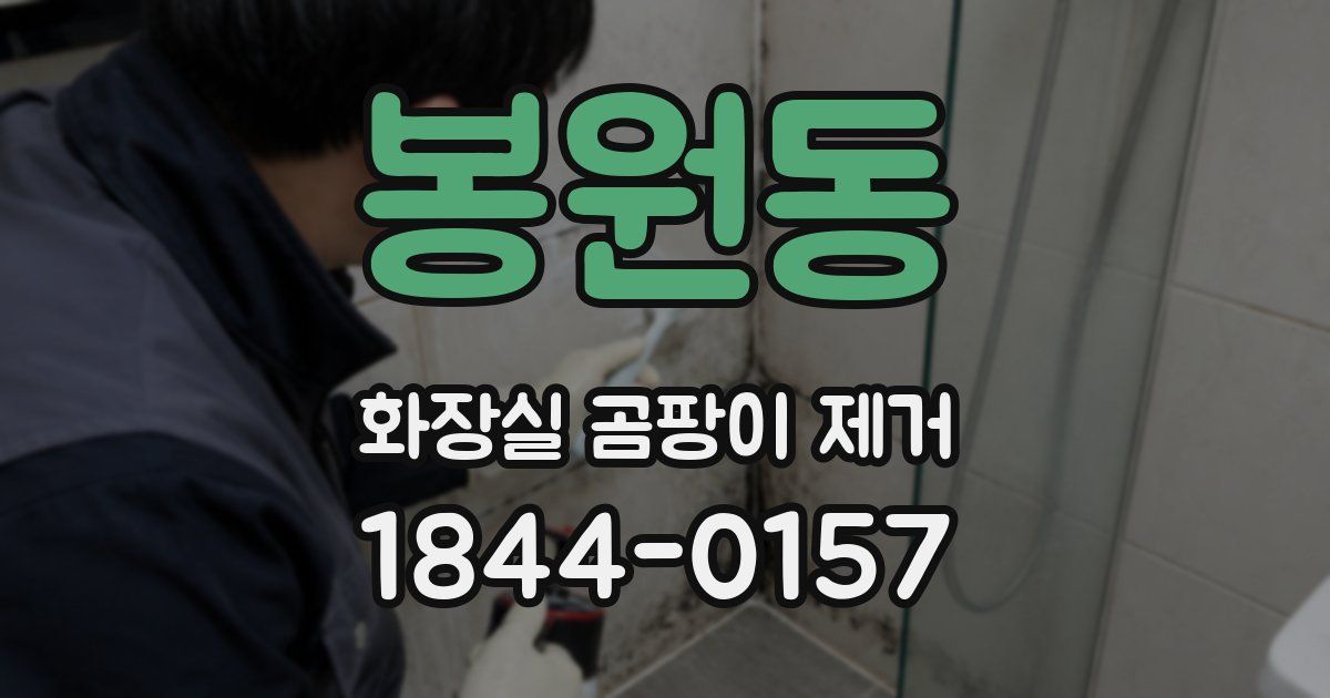 봉원동 화장실 곰팡이 제거