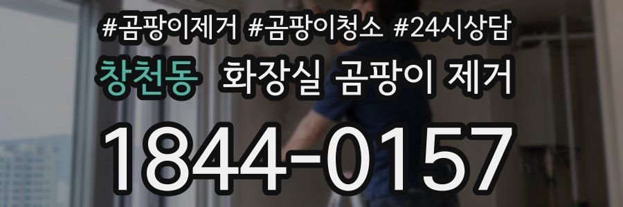 창천동 화장실 곰팡이 제거