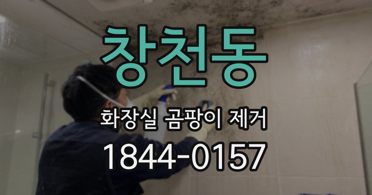 창천동 화장실 곰팡이 제거