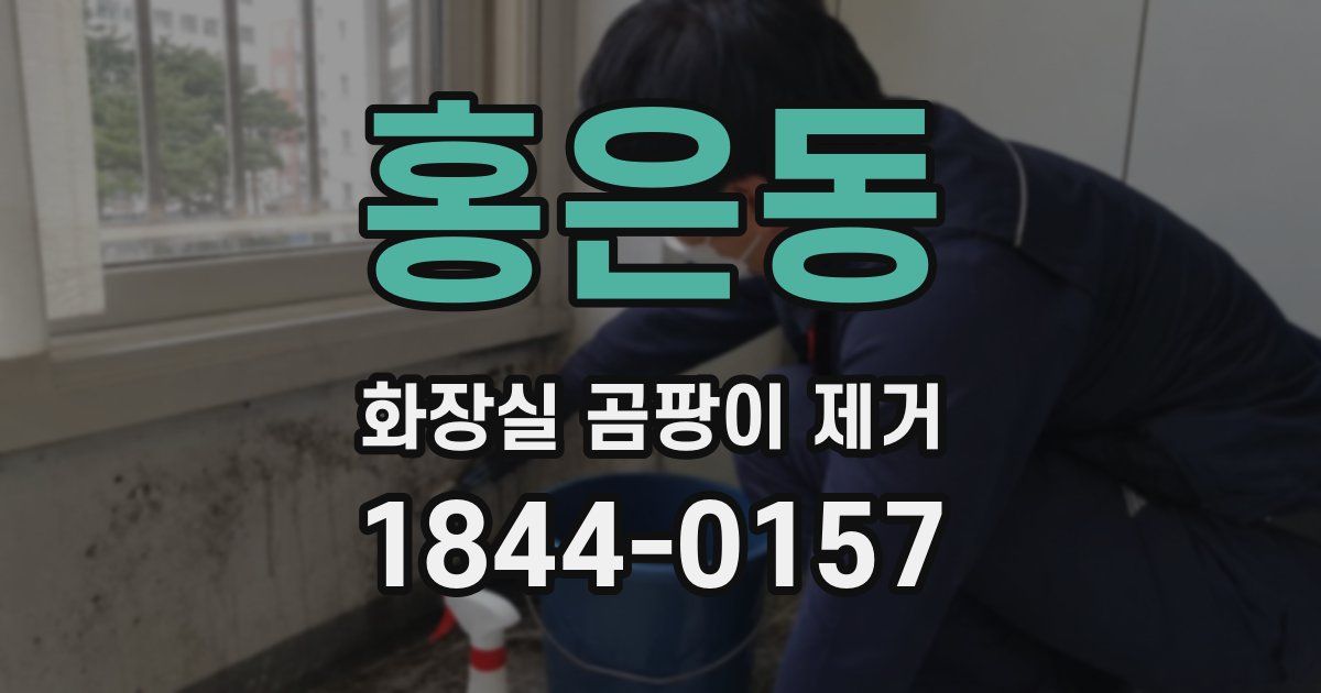 홍은동 화장실 곰팡이 제거