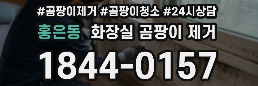 홍은동 화장실 곰팡이 제거