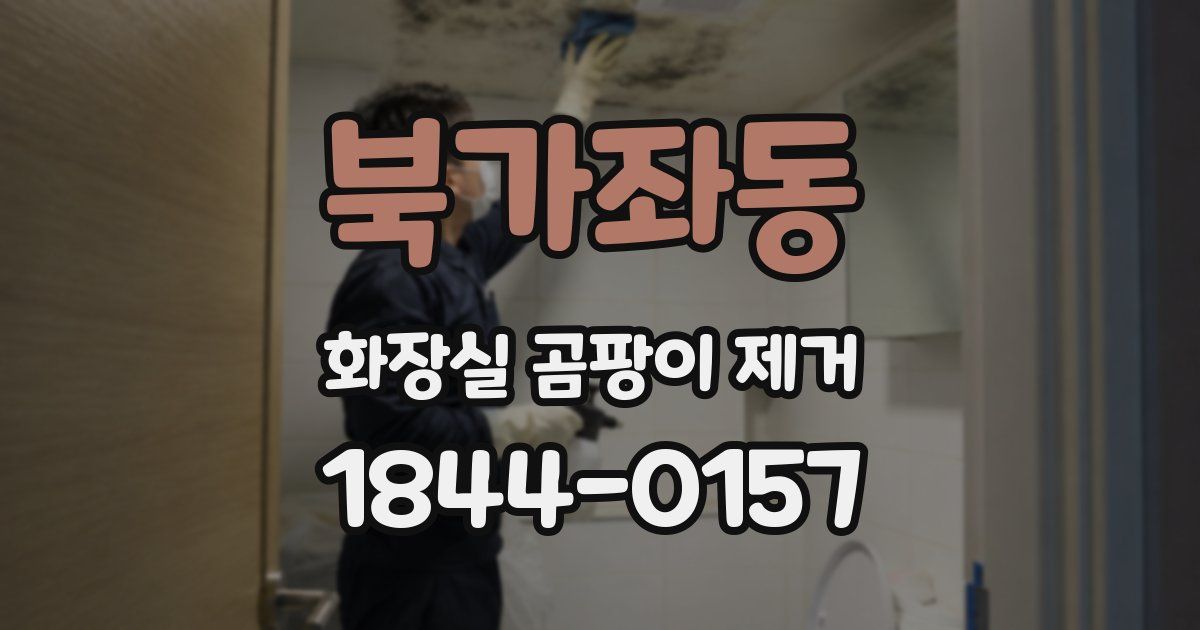 북가좌동 화장실 곰팡이 제거