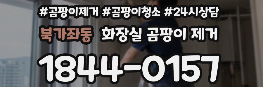 북가좌동 화장실 곰팡이 제거