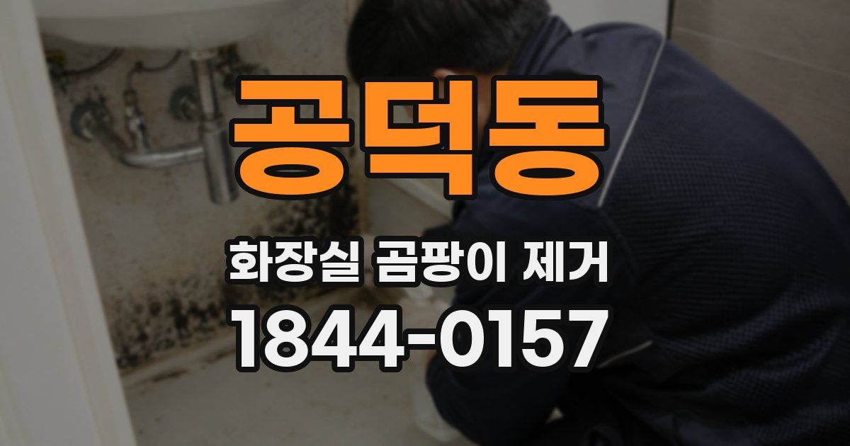 공덕동 화장실 곰팡이 제거