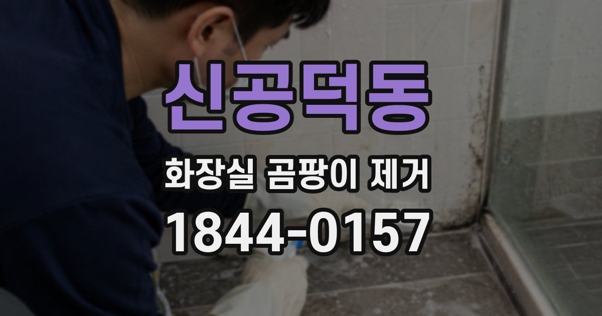 신공덕동 화장실 곰팡이 제거