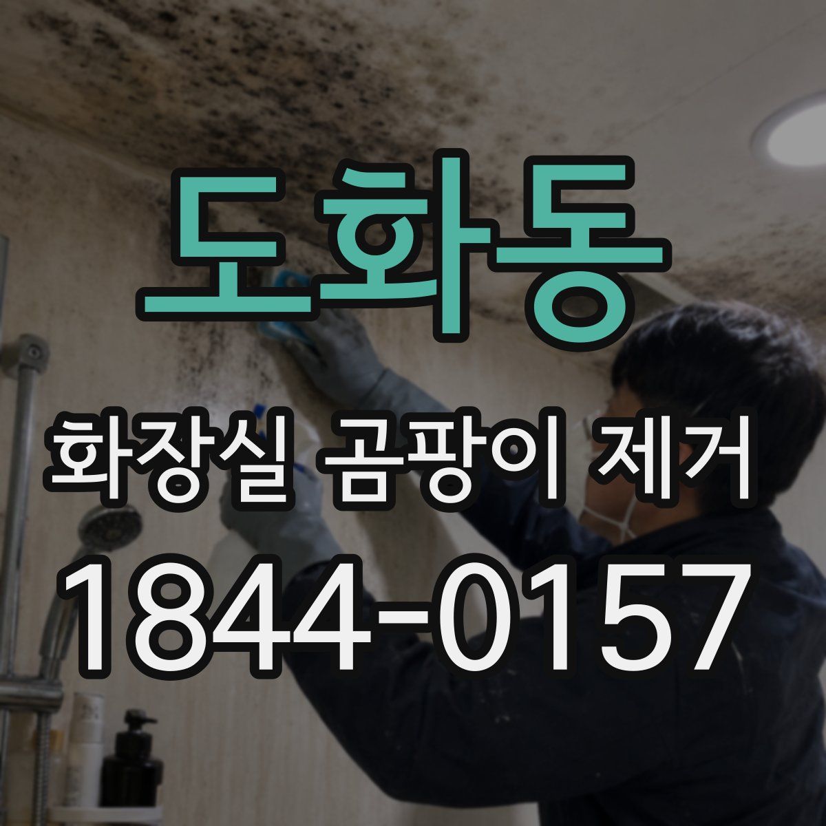 도화동 화장실 곰팡이 제거