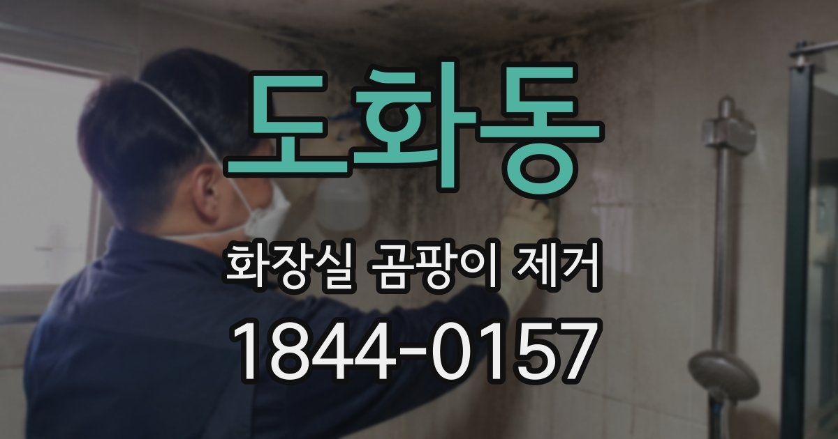 도화동 화장실 곰팡이 제거