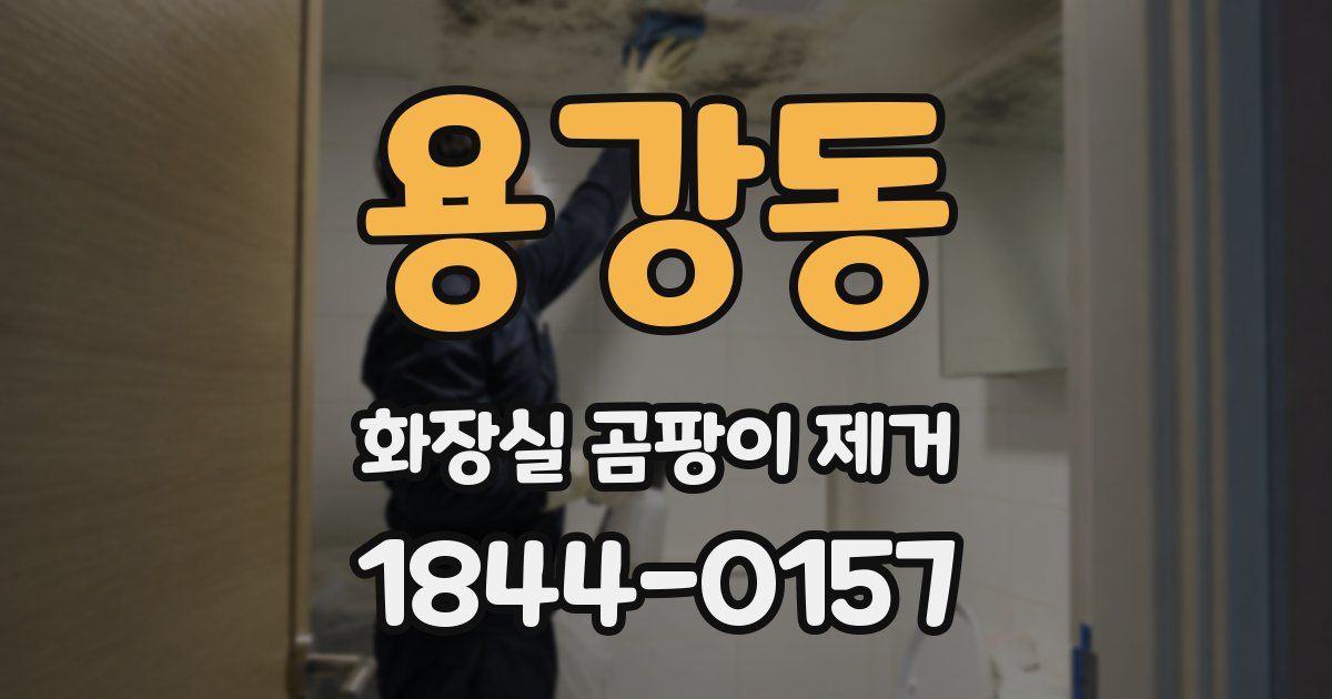 용강동 화장실 곰팡이 제거