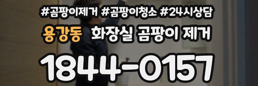용강동 화장실 곰팡이 제거