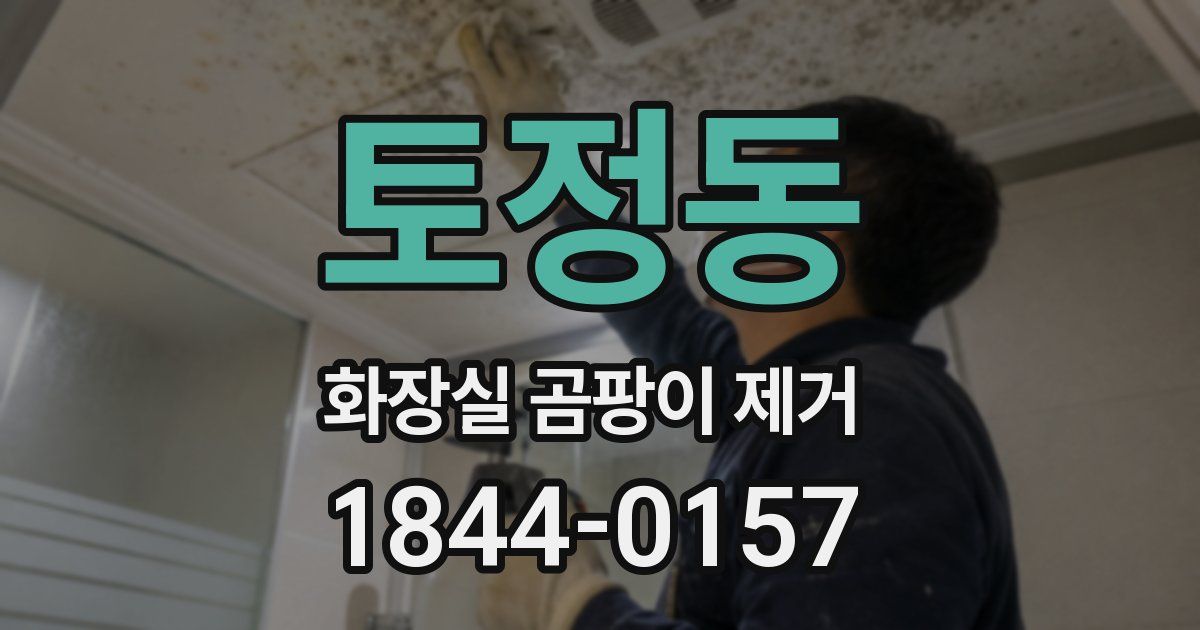 토정동 화장실 곰팡이 제거