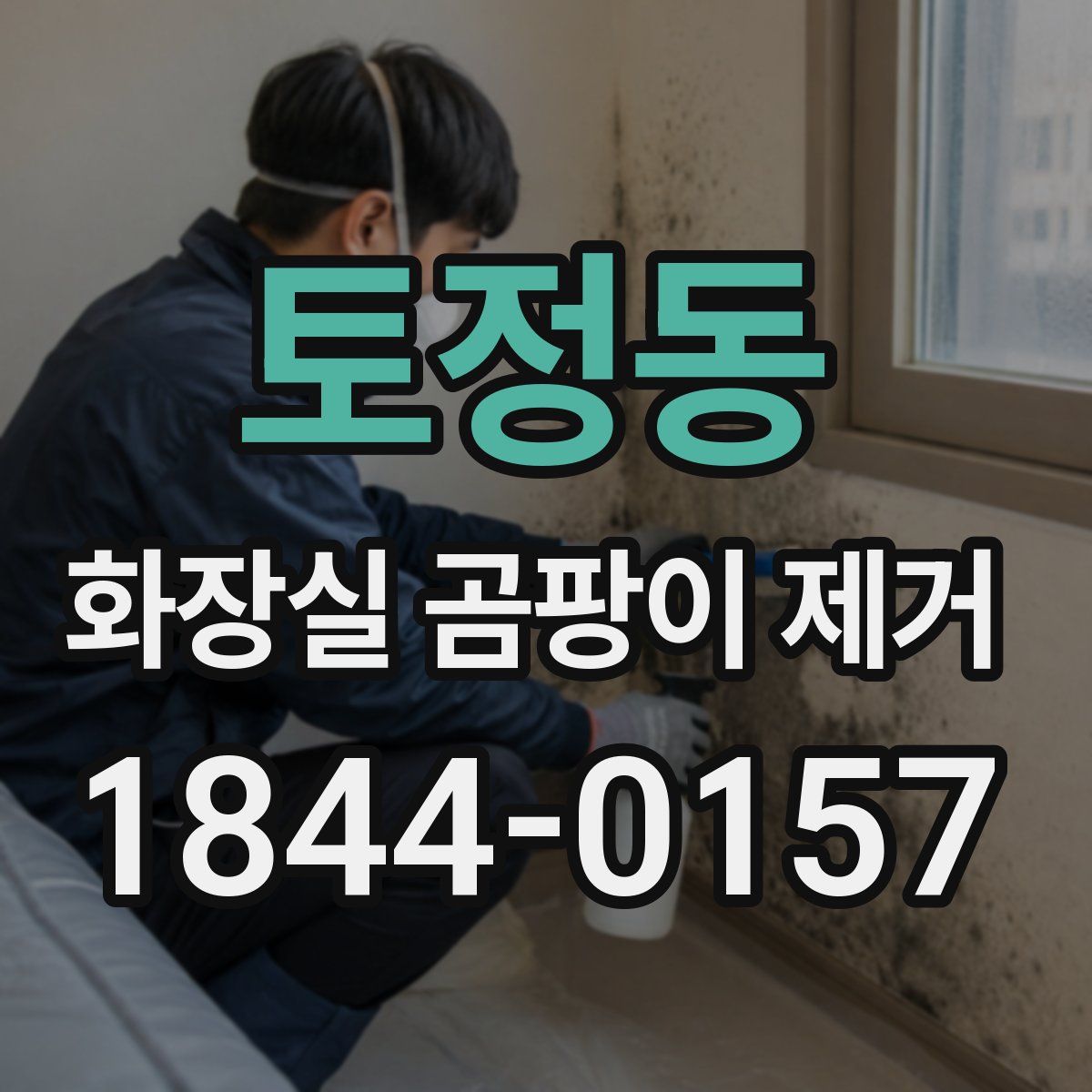 토정동 화장실 곰팡이 제거