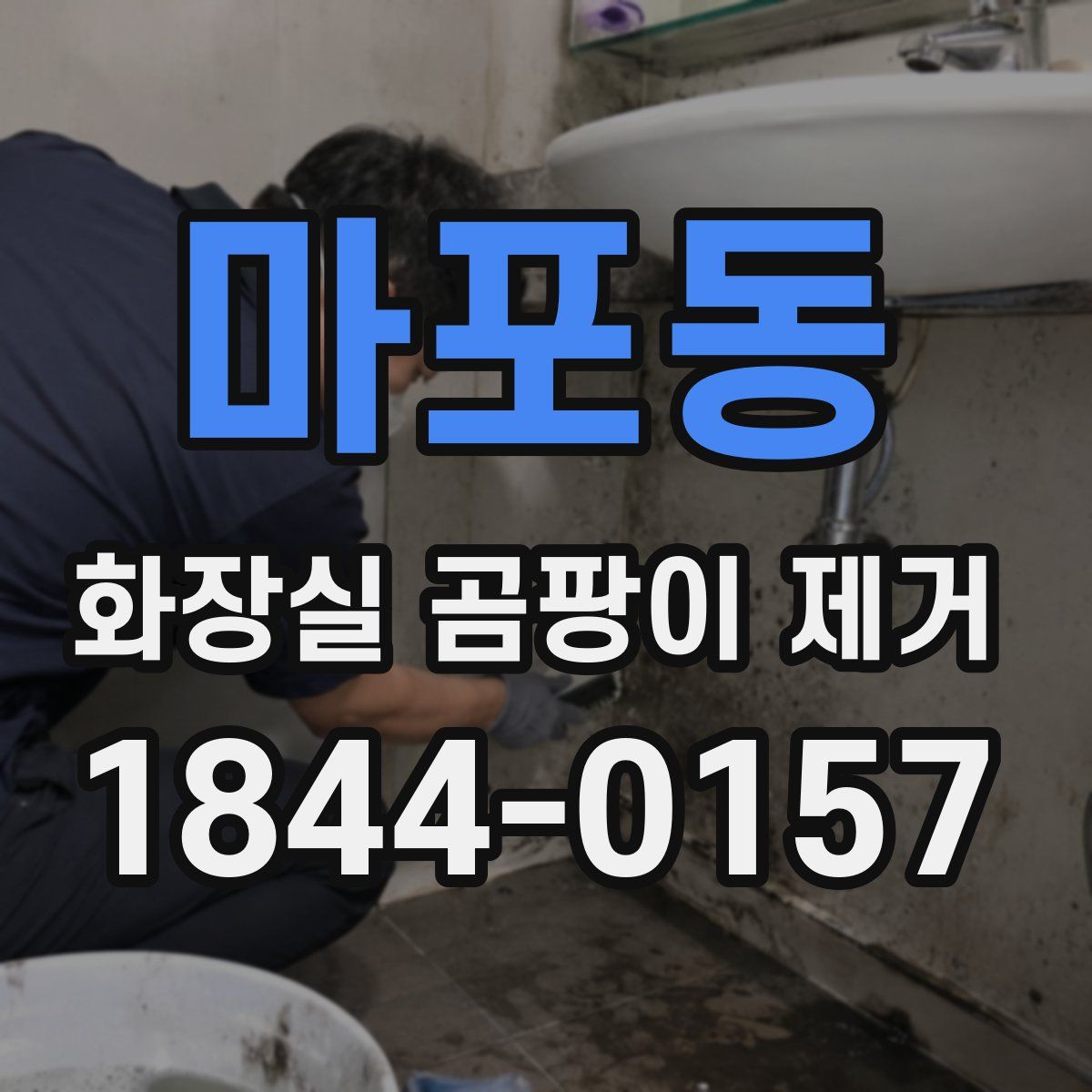 마포동 화장실 곰팡이 제거