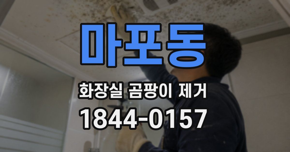마포동 화장실 곰팡이 제거