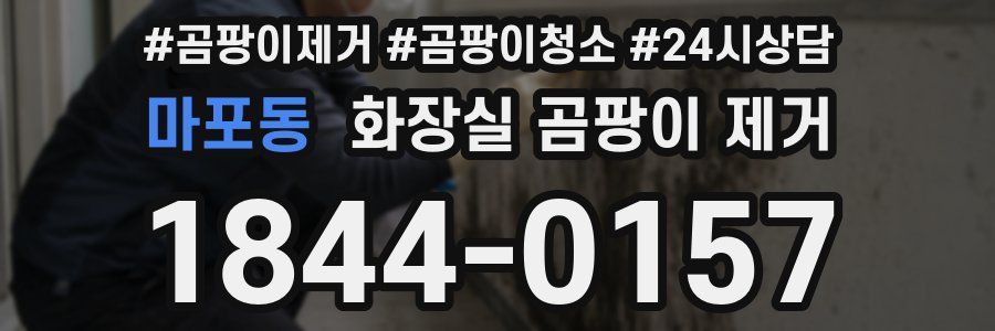 마포동 화장실 곰팡이 제거