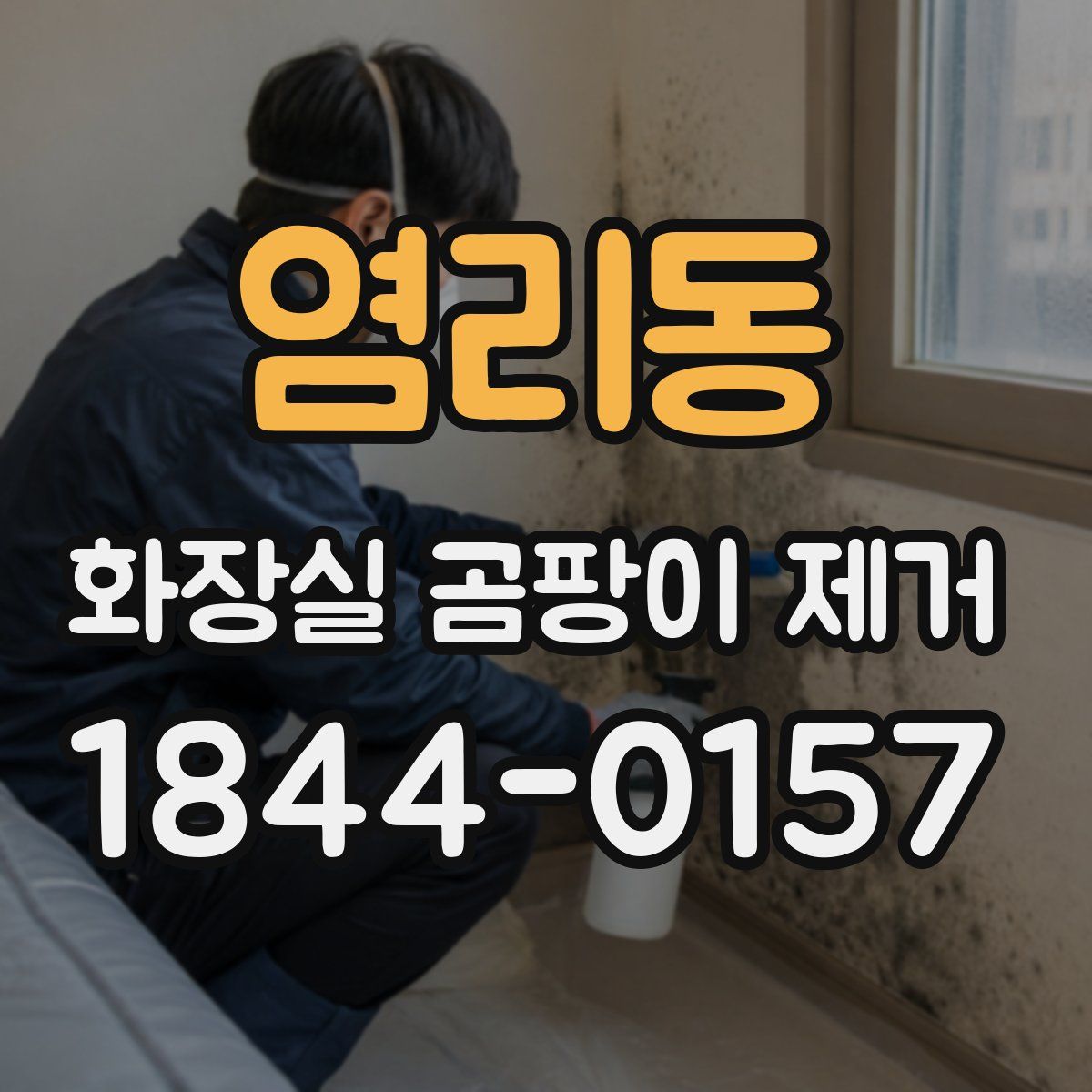 염리동 화장실 곰팡이 제거