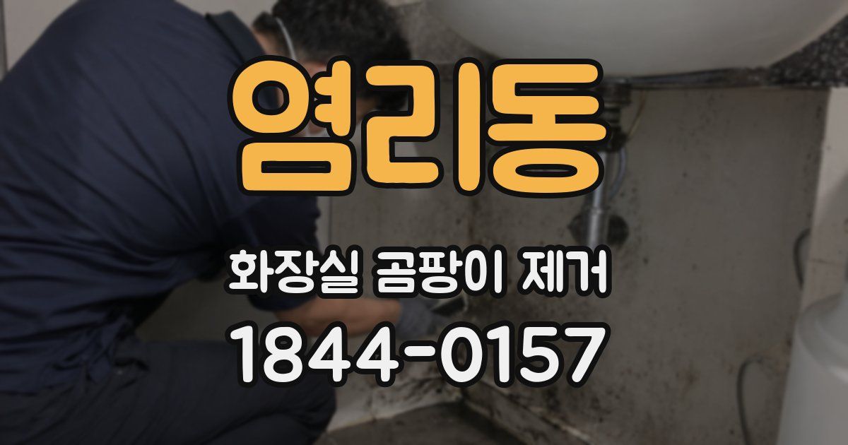 염리동 화장실 곰팡이 제거