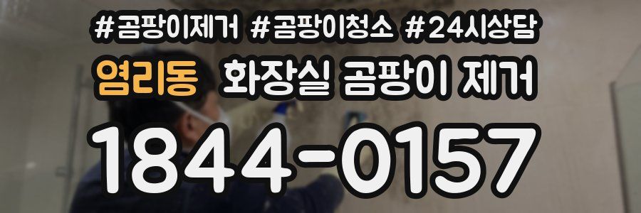 염리동 화장실 곰팡이 제거