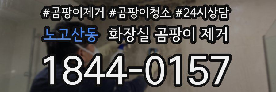 노고산동 화장실 곰팡이 제거