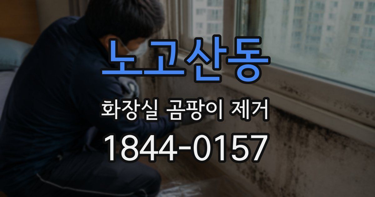 노고산동 화장실 곰팡이 제거