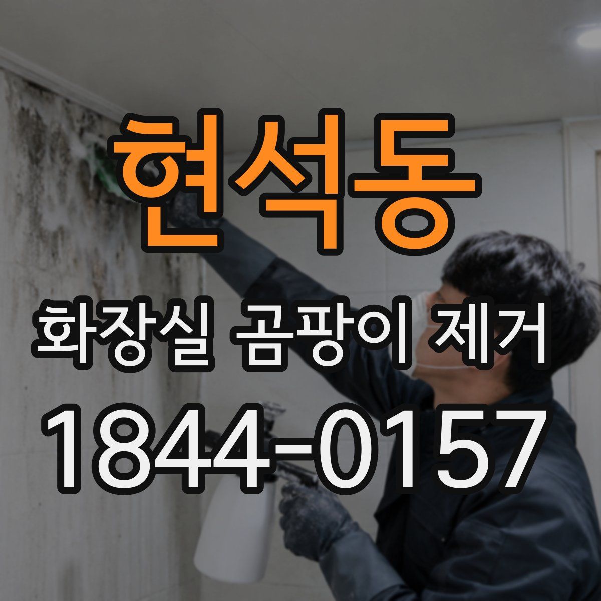 현석동 화장실 곰팡이 제거