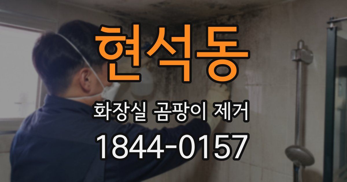 현석동 화장실 곰팡이 제거
