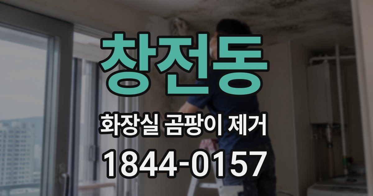 창전동 화장실 곰팡이 제거