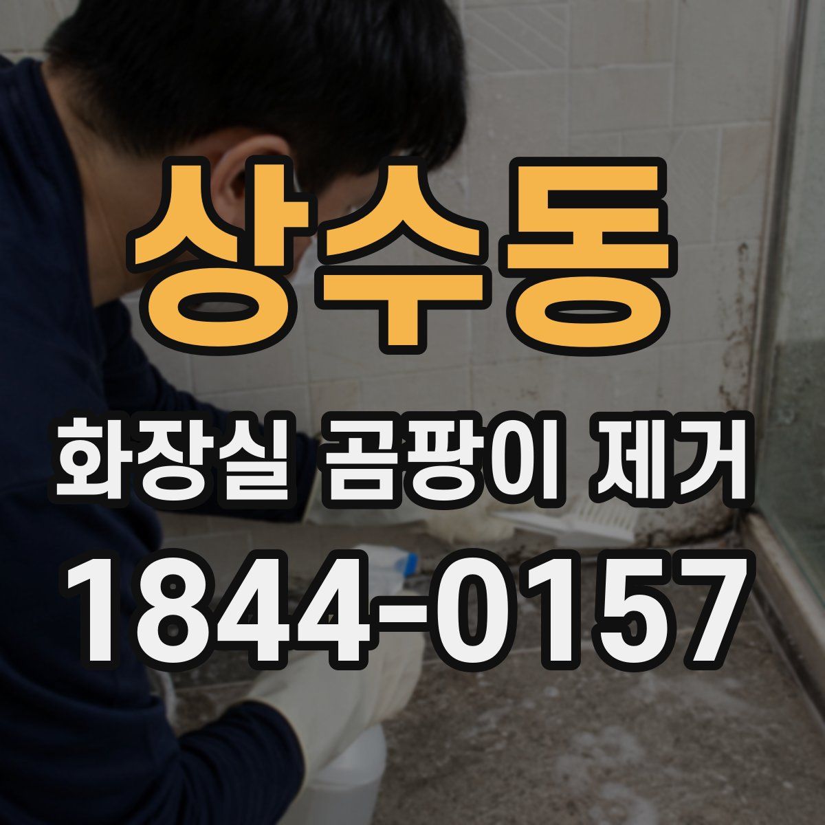 상수동 화장실 곰팡이 제거