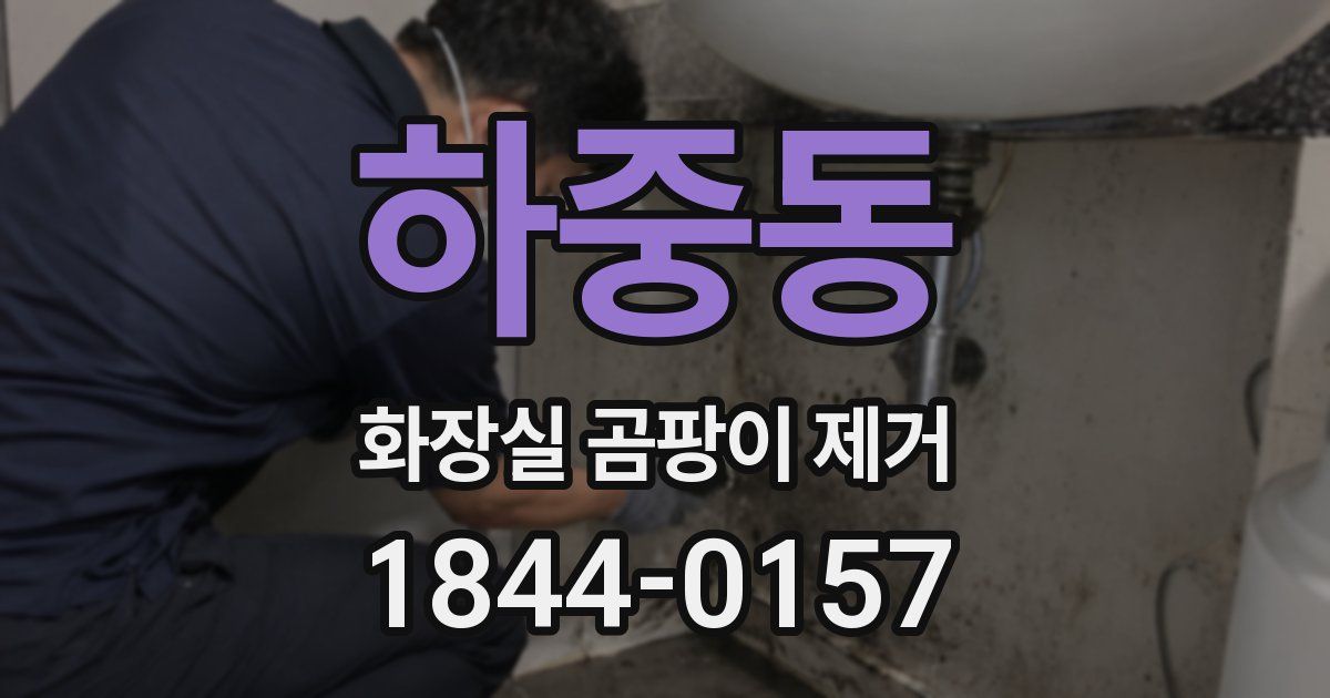 하중동 화장실 곰팡이 제거