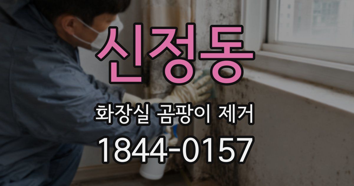 신정동 화장실 곰팡이 제거