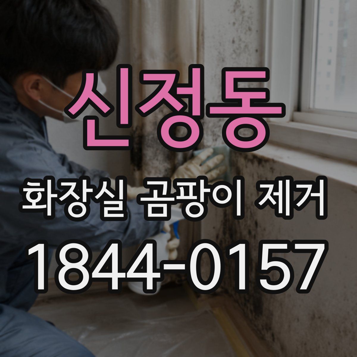 신정동 화장실 곰팡이 제거