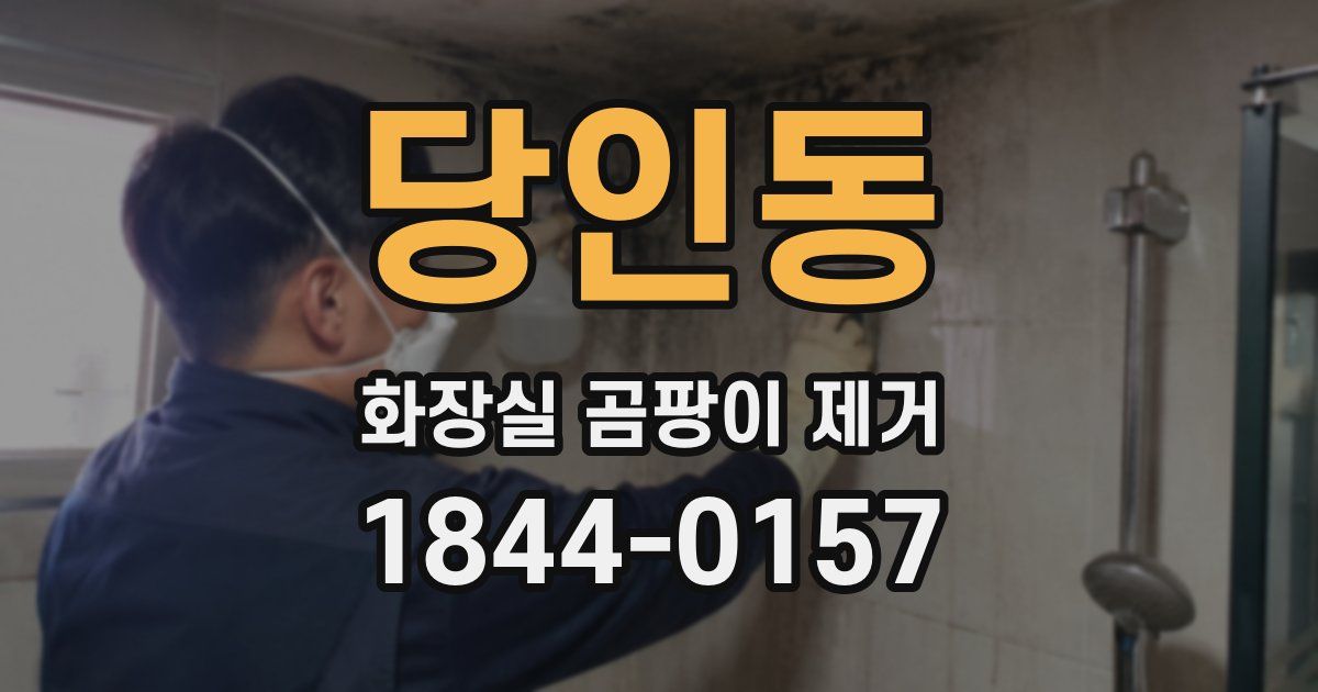 당인동 화장실 곰팡이 제거