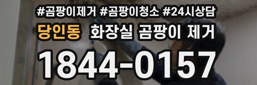 당인동 화장실 곰팡이 제거