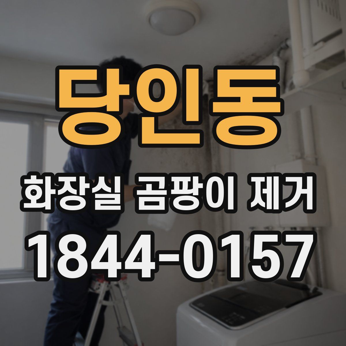 당인동 화장실 곰팡이 제거