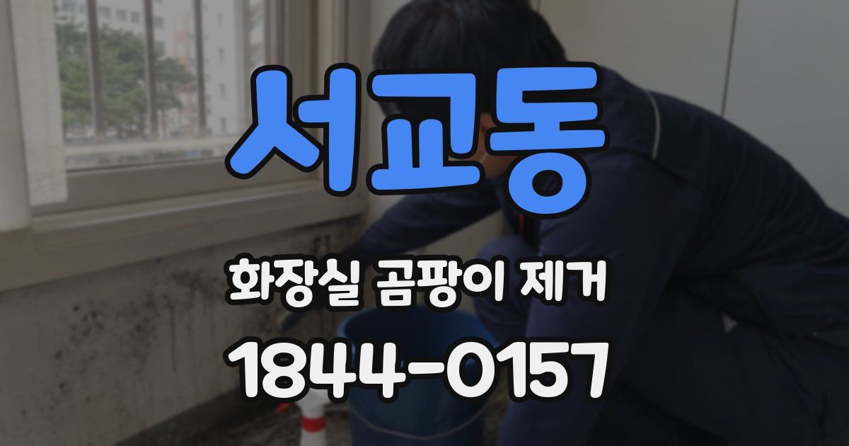 서교동 화장실 곰팡이 제거