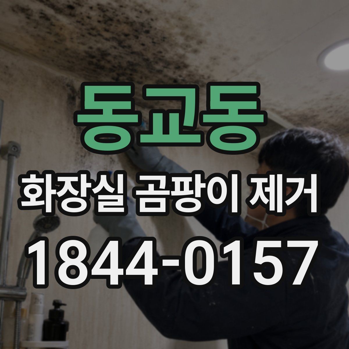 동교동 화장실 곰팡이 제거 변기 옆 검은 자국이 커질 때 확인할 부분