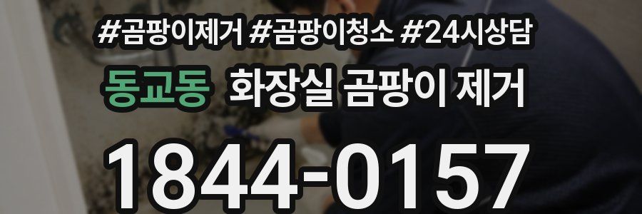 동교동 화장실 곰팡이 제거