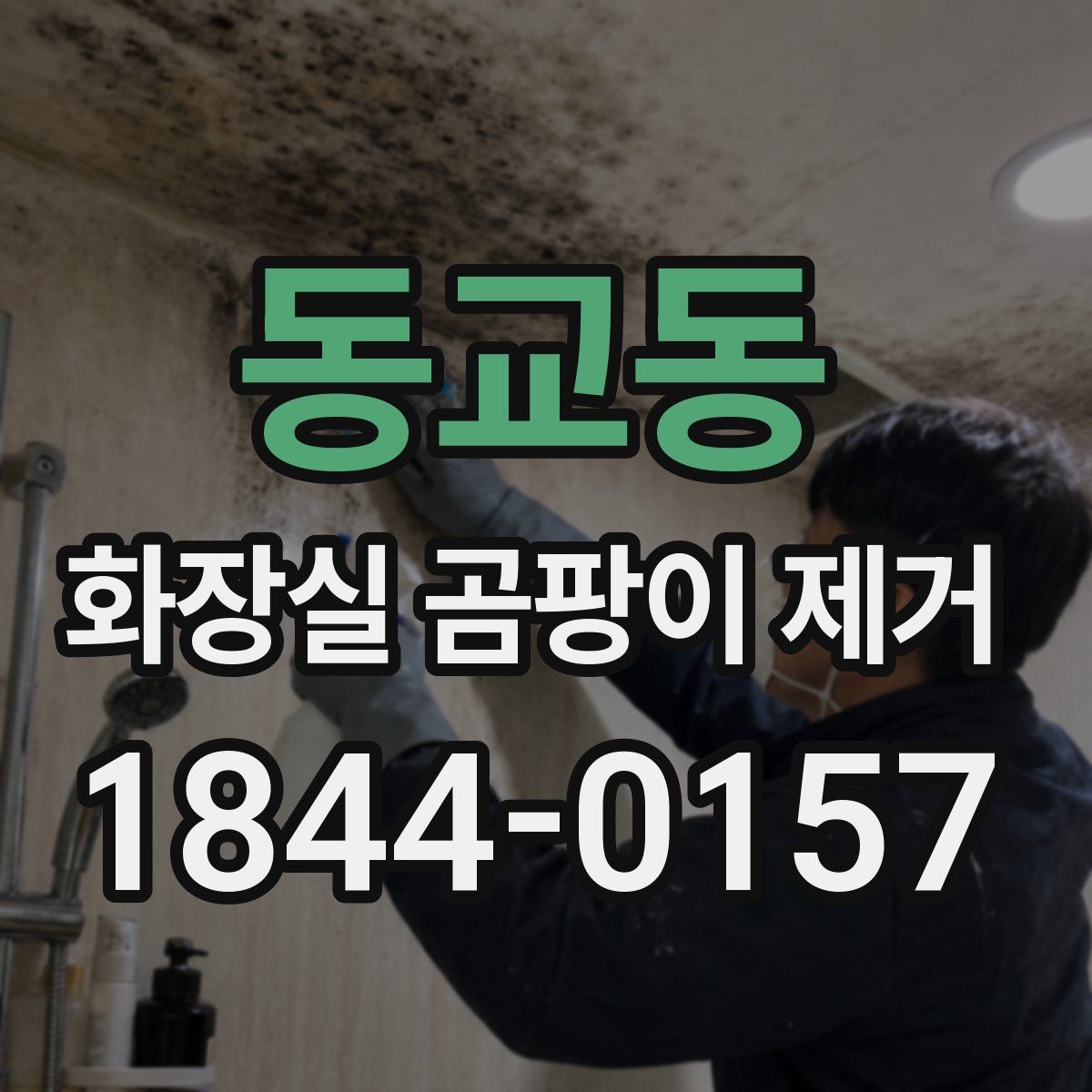 동교동 화장실 곰팡이 제거