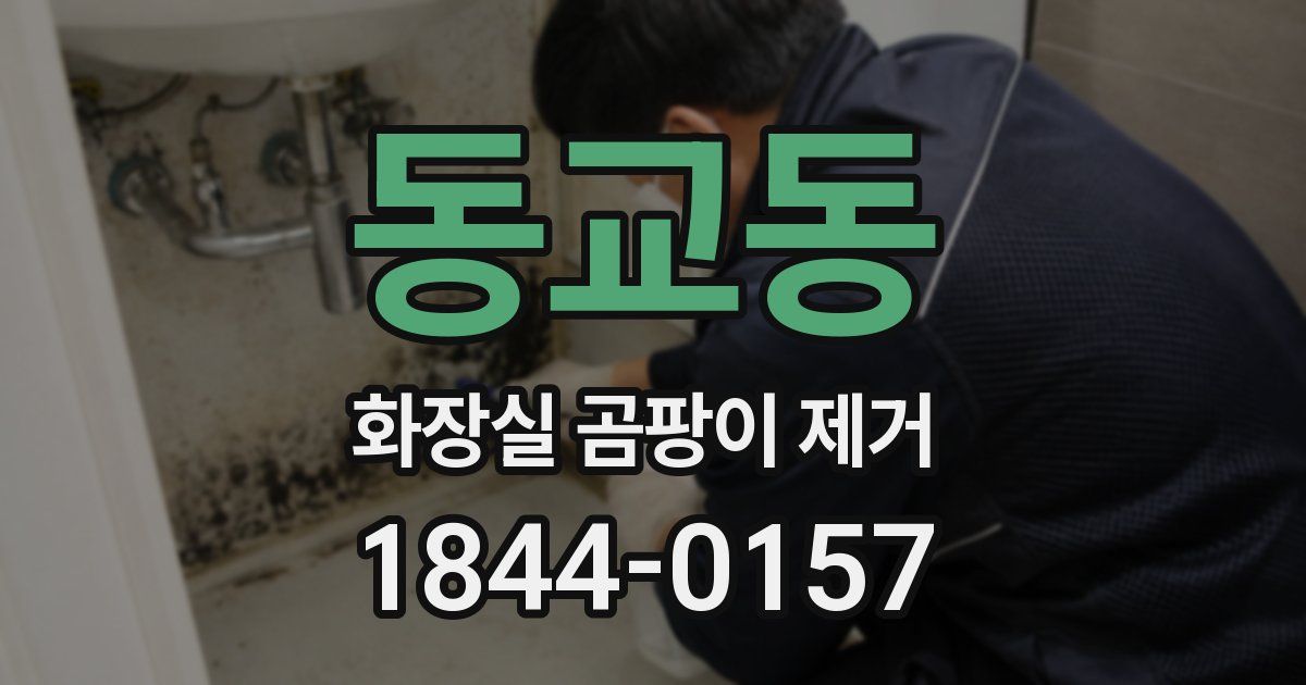 동교동 화장실 곰팡이 제거