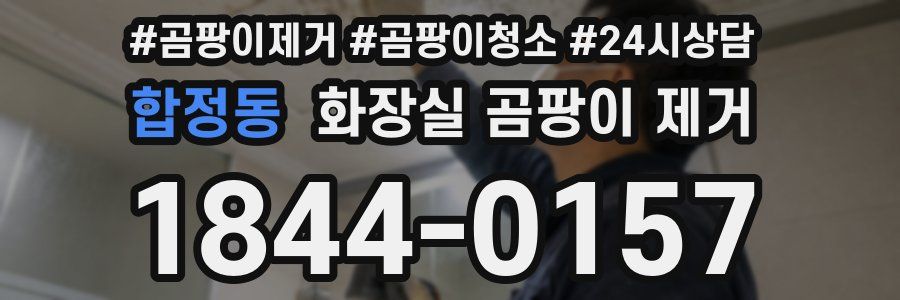 합정동 화장실 곰팡이 제거