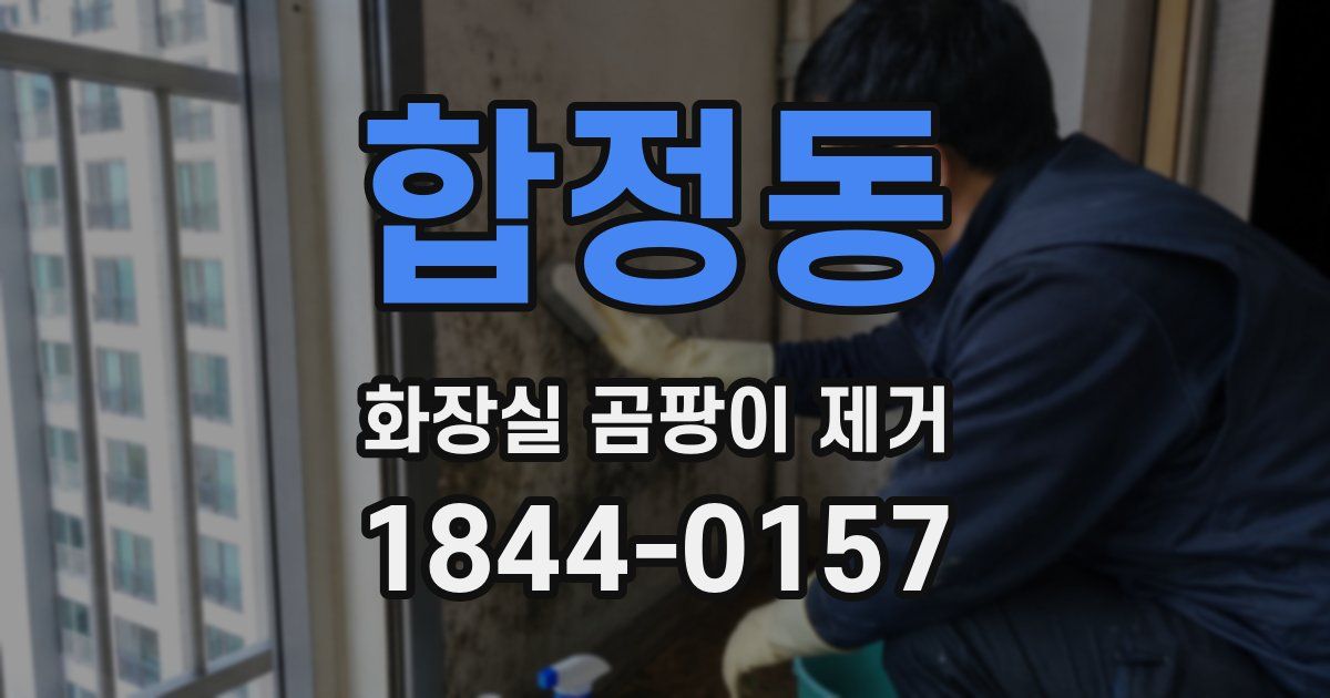합정동 화장실 곰팡이 제거