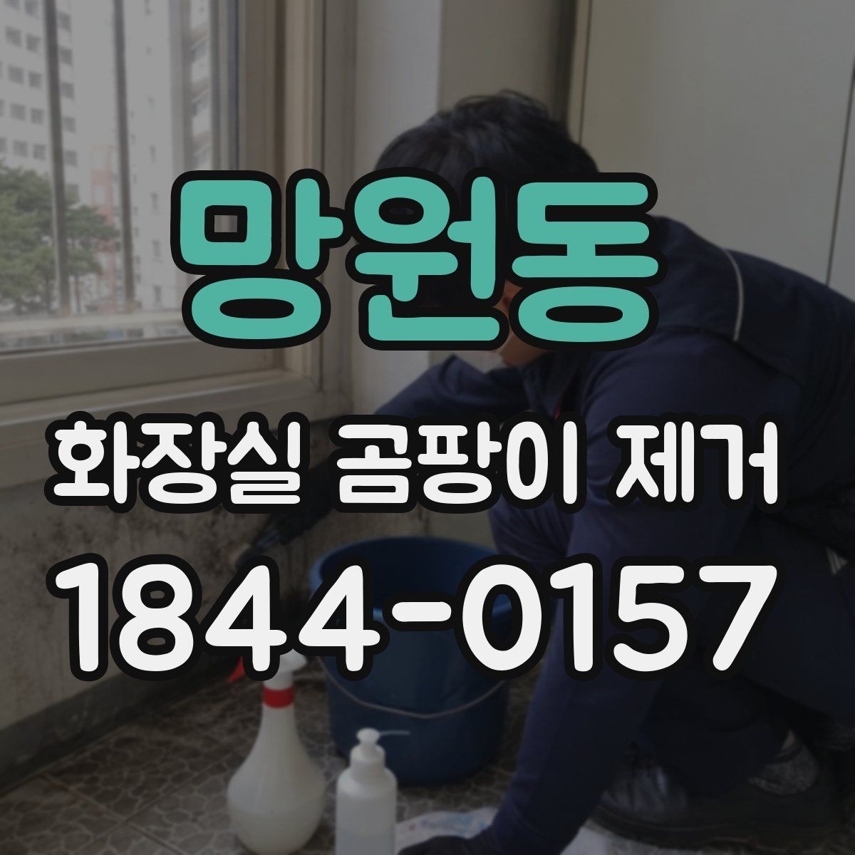망원동 화장실 곰팡이 제거