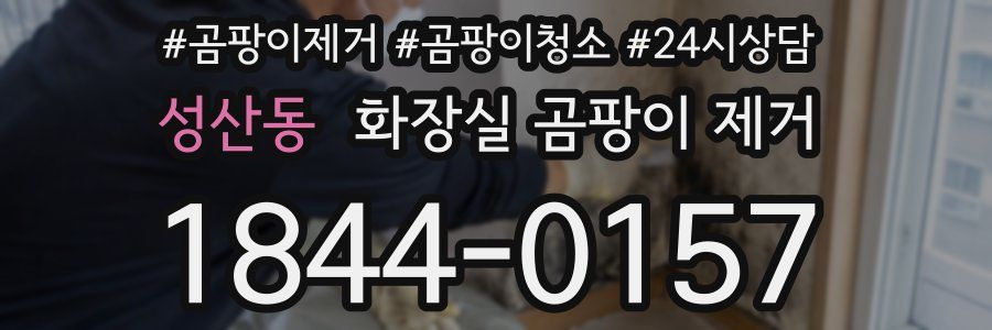 성산동 화장실 곰팡이 제거