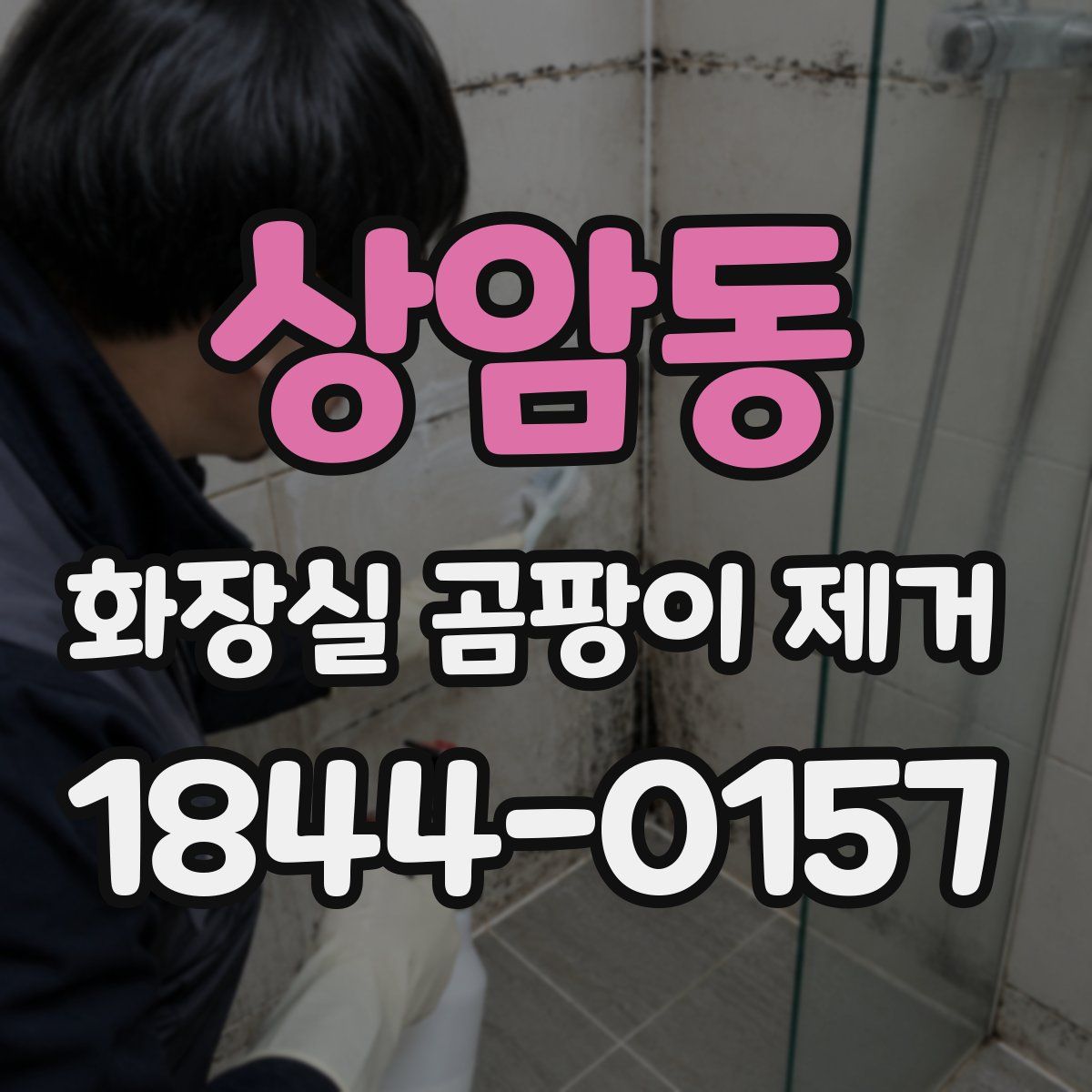 상암동 화장실 곰팡이 제거