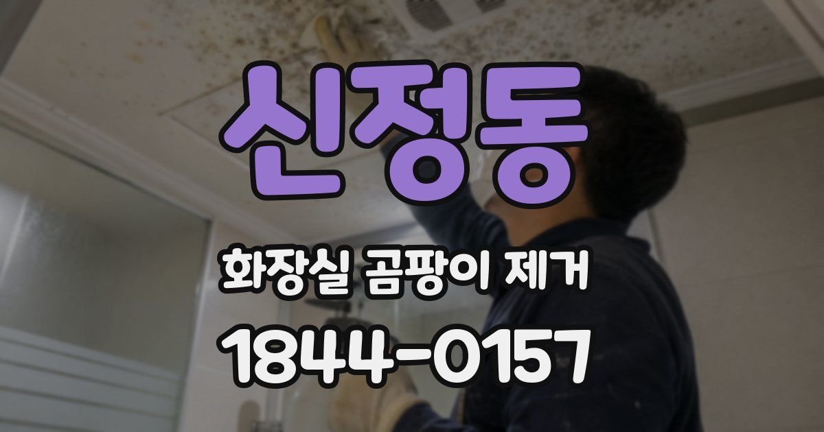 신정동 화장실 곰팡이 제거