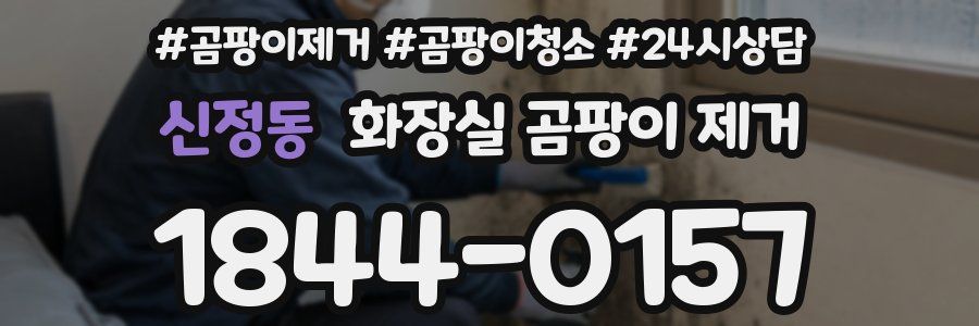 신정동 화장실 곰팡이 제거