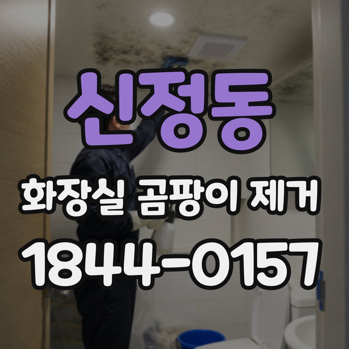 신정동 화장실 곰팡이 제거
