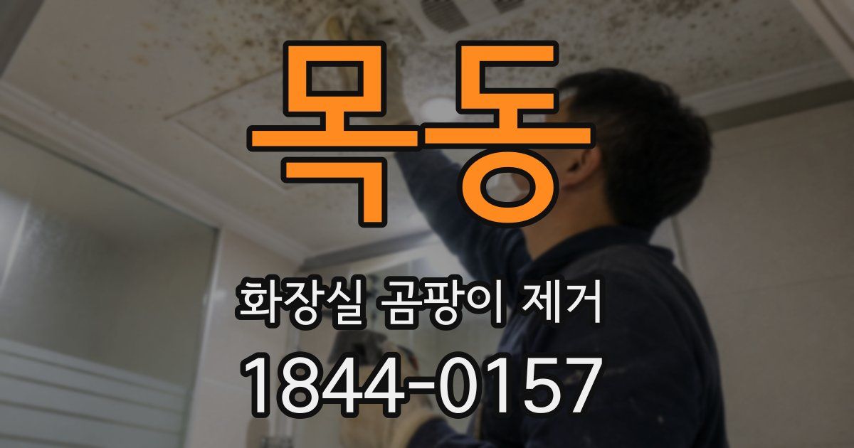 목동 화장실 곰팡이 제거